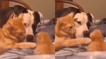 Reprodução / Instagram