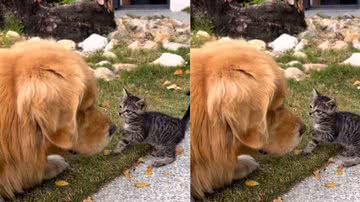 Reprodução / Instagram