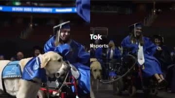 Reprodução / Tik Tok