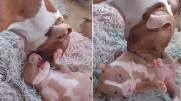 Reprodução / Instagram