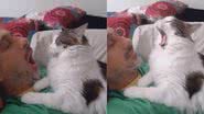 Reprodução / Instagram