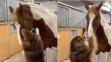 Reprodução / Instagram