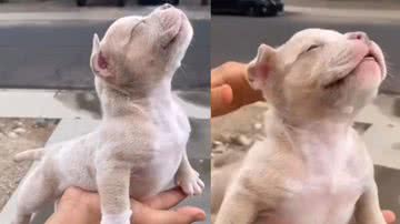 Reprodução / Instagram