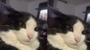 Reprodução / Instagram