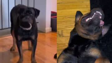 Reprodução / Instagram