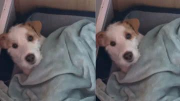 Reprodução / Instagram