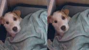 Reprodução / Instagram