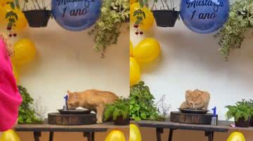 Reprodução/ Tik Tok