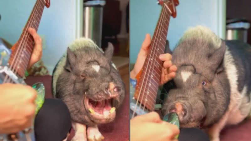 Reprodução / Instagram
