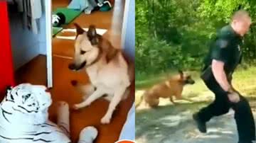 Reprodução / Instagram