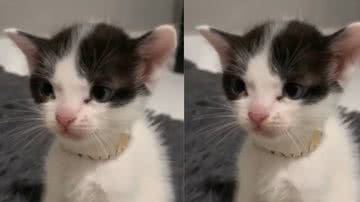 Reprodução / Instagram