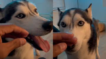 Reprodução / Tik Tok