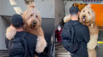 Reprodução / Tik Tok