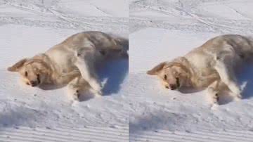 Reprodução / Tik Tok