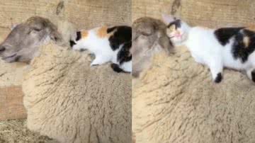 Reprodução / Instagram