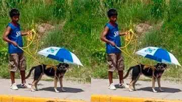 Reprodução / Redes sociais