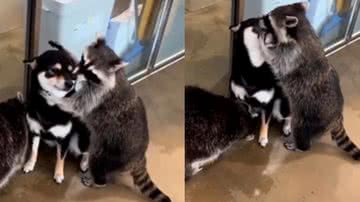 Reprodução / Instagram