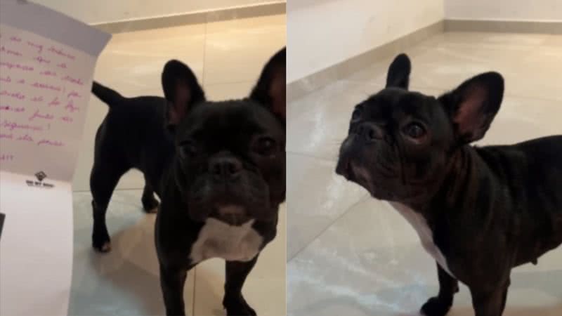Reprodução / Instagram