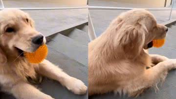 Reprodução / Tik Tok