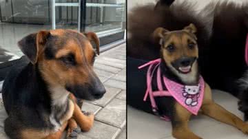 Reprodução / Tik Tok