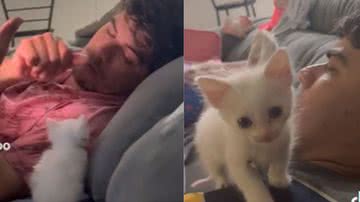 Reprodução / Tik Tok