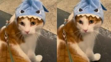 Reprodução / Tik Tok