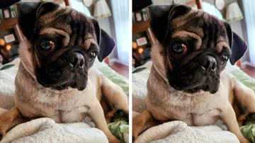 Reprodução / Facebook / Enzo Manoni