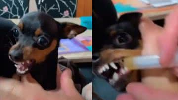 Reprodução / Redes Sociais