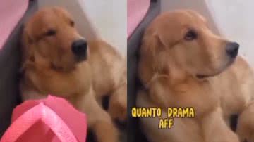 Reprodução / Instagram