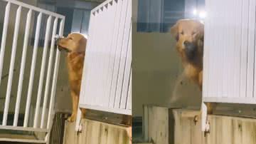 Reprodução/ Tik Tok