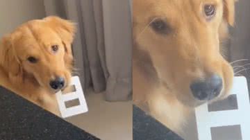 Reprodução/ Tik Tok