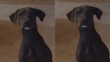 Reprodução/ Tik Tok