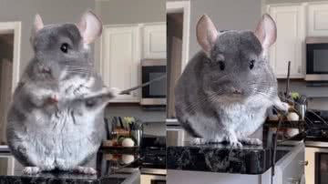 Reprodução / Instagram