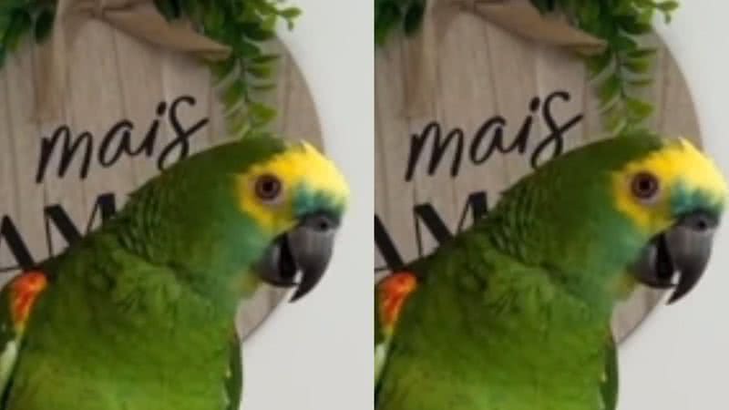 Reprodução/ Tik Tok