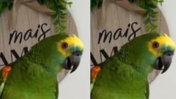 Reprodução/ Tik Tok