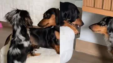 Reprodução/ Tik Tok