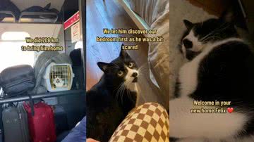 Reprodução/ Tik Tok