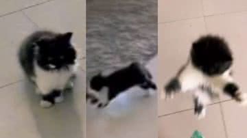 Reprodução/ Tik Tok