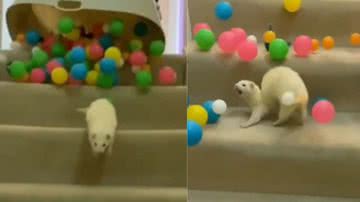 Reprodução / Instagram