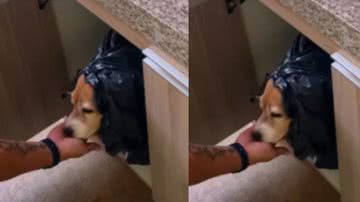 Reprodução / Instagram