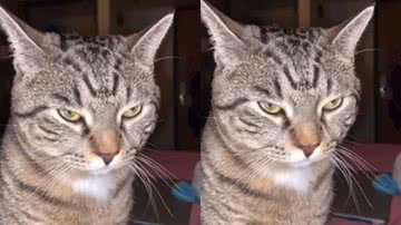 Reprodução / Instagram