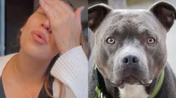 Reprodução/TikTok @giuzonta // Manfred Richter por Pixabay