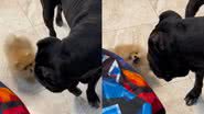 Reprodução/TikTok @g.d.1909