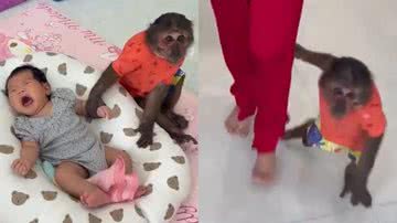 Reprodução/TikTok @monekyisluffy