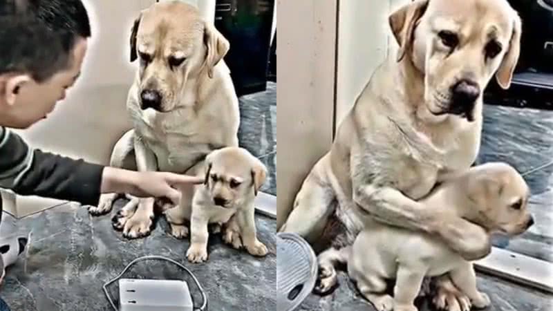 Reprodução/Twitter @choquei