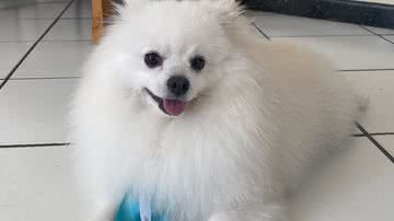 Reprodução/Twitter @LeiOdio