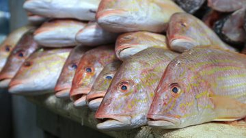 Paulo M. Azevedo / BNews