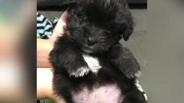 Reprodução/TikTok @nathaliasatu