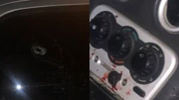 Reprodu&ccedil;&atilde;o/Radar News