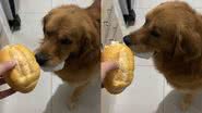 Reprodução/TikTok @pedromurtabarreto